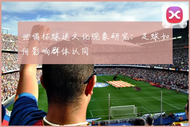 世俱杯球迷文化现象研究:足球如何影响群体认同